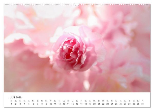 Produktbild: Kirschbl&uuml;tentraum (hochwertiger Premium Wandkalender 2026 DIN A2 quer), Kunstdruck in Hochglanz