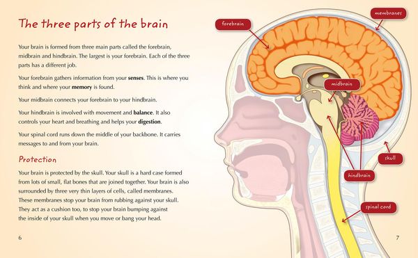 Produktbild: Your Brain