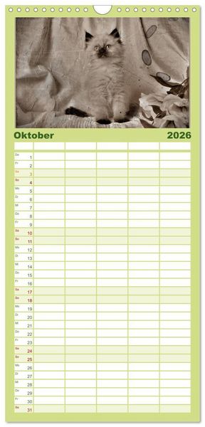 Produktbild: Familienplaner 2026 - Oma's Katzenkalender 2026 mit 5 Spalten (Wandkalender, 21 x 45 cm) CALVENDO