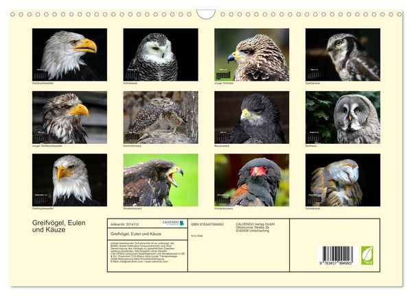 Produktbild: Greifv&ouml;gel, Eulen und K&auml;uze (Wandkalender 2026 DIN A3 quer), CALVENDO Monatskalender