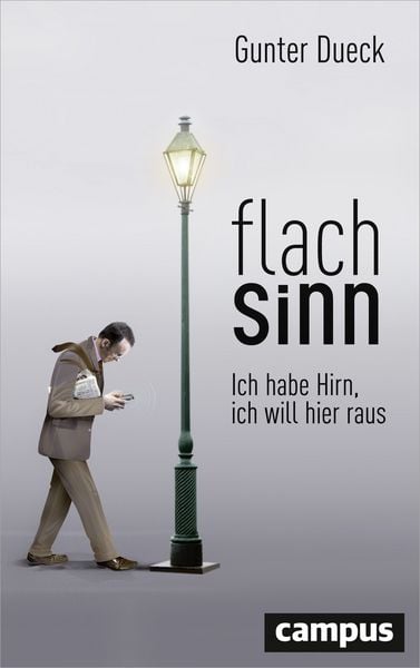 Produktbild: Flachsinn