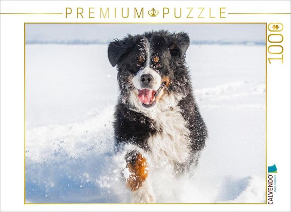 CALVENDO Puzzle Berner Sennenhund in seinem Element | 1000 Teile Lege-Größe 64x48cm Foto-Puzzle für glückliche Stunden