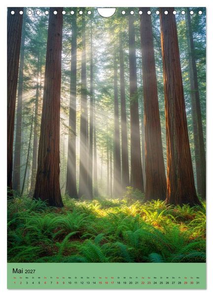Produktbild: Sequoia Giganten (Wandkalender 2027 DIN A4 hoch), CALVENDO Monatskalender