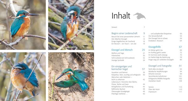 Produktbild: Eisvogel ganz nah