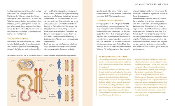 Produktbild: Mit 50 fitter als mit 30