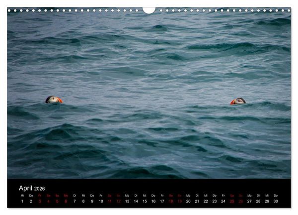 Produktbild: Island - Unber&uuml;hrte Landschaften (Wandkalender 2026 DIN A3 quer), CALVENDO Monatskalender