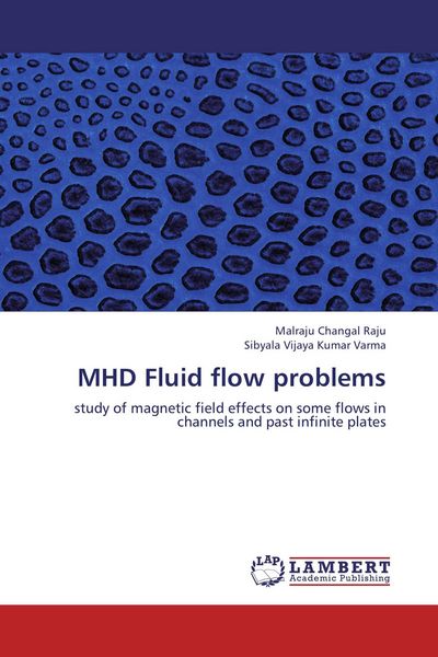 Produktbild: MHD Fluid flow problems