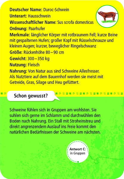 Produktbild: 50 Tiere auf dem Bauernhof