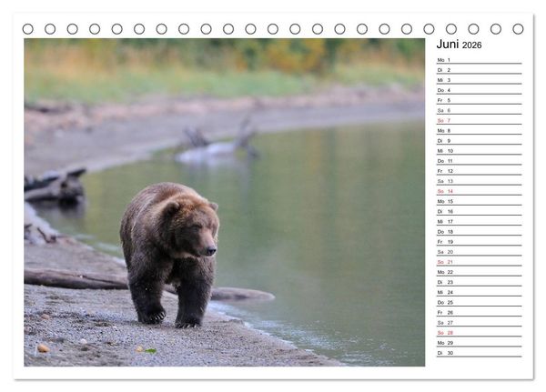 Produktbild: Alaskas Tierwelt - Paradies im Norden (Tischkalender 2026 DIN A5 quer), CALVENDO Monatskalender