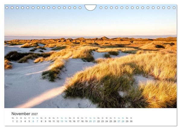Produktbild: Amrum: Natur und Freiheit (Wandkalender 2027 DIN A4 quer), CALVENDO Monatskalender