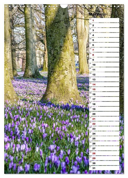 Produktbild: Westk&uuml;ste - Zwischen St. Peter Ording, B&uuml;sum und Elbe (Wandkalender 2026 DIN A3 hoch), CALVENDO Monatskalender