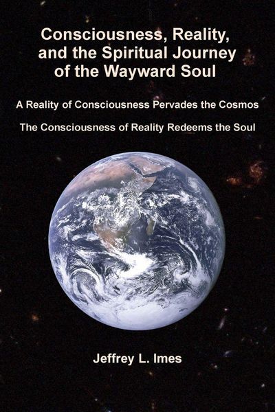Produktbild: Consciousness, Reality, and the Spiritual Journey of the Wayward Soul