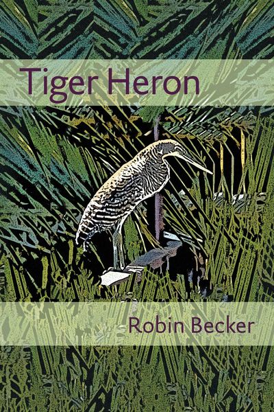 Produktbild: Tiger Heron