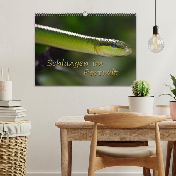 Produktbild: Schlangen im Portrait (Wandkalender 2026 DIN A3 quer), CALVENDO Monatskalender