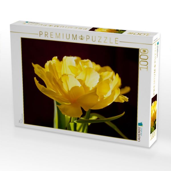 Produktbild: CALVENDO Puzzle Tulpe | 1000 Teile Lege-Gr&ouml;&szlig;e 64x48cm Foto-Puzzle f&uuml;r gl&uuml;ckliche Stunden