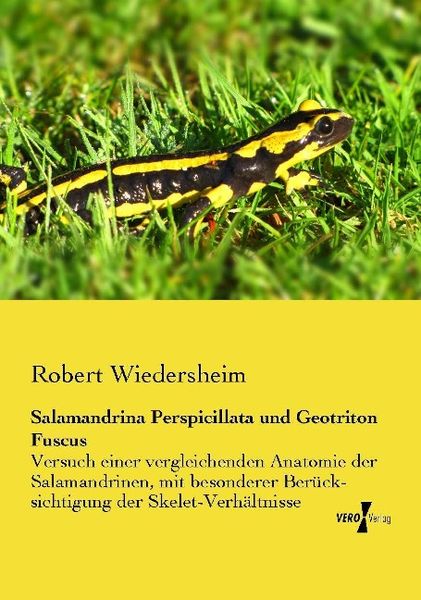 Produktbild: Salamandrina Perspicillata und Geotriton Fuscus