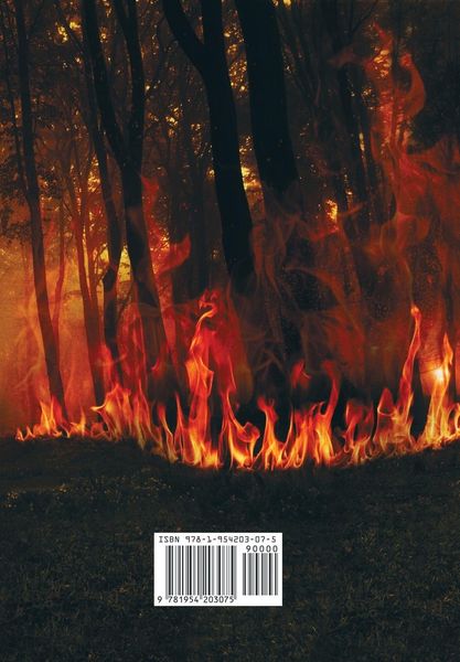 Produktbild: Night on Fire