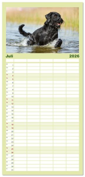 Produktbild: Familienplaner 2026 - Mit dem Riesenschnauzer durch das Jahr mit 5 Spalten (Wandkalender, 21 x 45 cm) CALVENDO