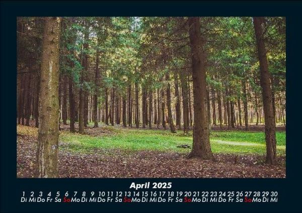 Produktbild: B&auml;ume 2025 Fotokalender DIN A5