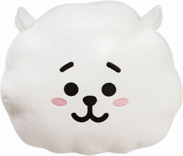 Produktbild: BT21 - RJ Kissen