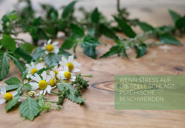 Produktbild: Mit Naturheilkunde Stress bew&auml;ltigen