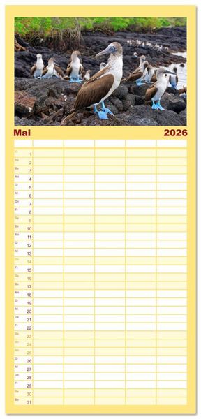 Produktbild: Familienplaner 2026 - Entdecke Galapagos mit 5 Spalten (Wandkalender, 21 x 45 cm) CALVENDO