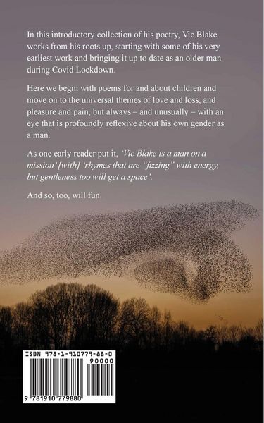 Produktbild: Murmurations