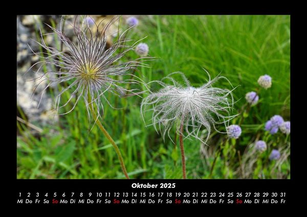 Produktbild: Bilder der Natur 2025 Fotokalender DIN A3