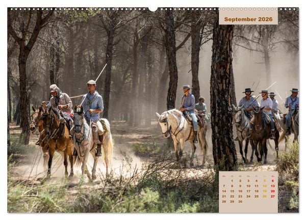 Produktbild: Pferde - Andalusiens wilder Westen (Wandkalender 2026 DIN A2 quer), CALVENDO Monatskalender