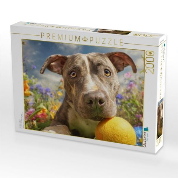 Produktbild: CALVENDO Puzzle Pit Bull mit Ball | 2000 Teile Lege-Gr&ouml;&szlig;e 90x67cm Foto-Puzzle f&uuml;r gl&uuml;ckliche Stunden
