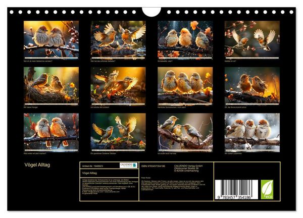 Produktbild: V&ouml;gel Alltag (Wandkalender 2026 DIN A4 quer), CALVENDO Monatskalender