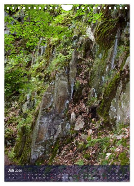 Produktbild: Wildes Bodetal (Wandkalender 2026 DIN A4 hoch), CALVENDO Monatskalender