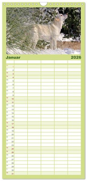 Produktbild: Familienplaner 2026 - Labrador Retriever 2026 mit 5 Spalten (Wandkalender, 21 x 45 cm) CALVENDO
