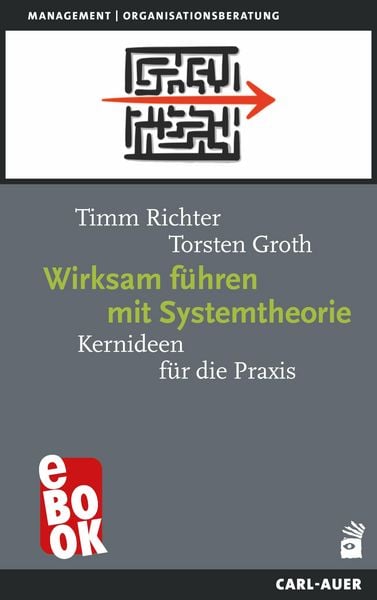 Produktbild: Wirksam f&uuml;hren mit Systemtheorie