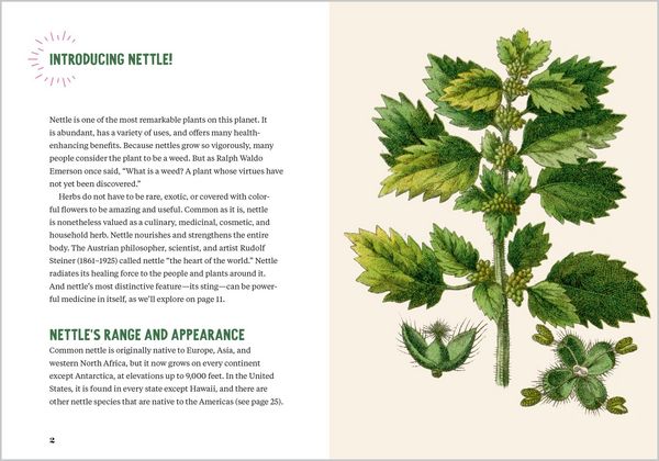 Produktbild: Nettle Power