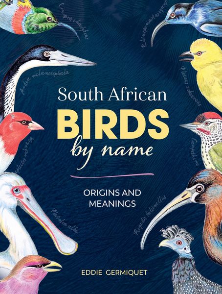 Produktbild: South African Birds by name - Origins and Meanings