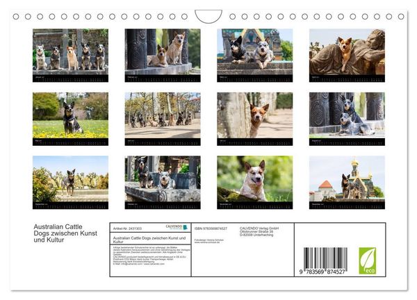 Produktbild: Australian Cattle Dogs zwischen Kunst und Kultur (Wandkalender 2027 DIN A4 quer), CALVENDO Monatskalender