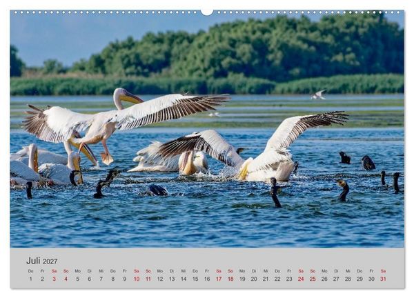 Produktbild: Wasser Europas (hochwertiger Premium Wandkalender 2027 DIN A2 quer), Kunstdruck in Hochglanz