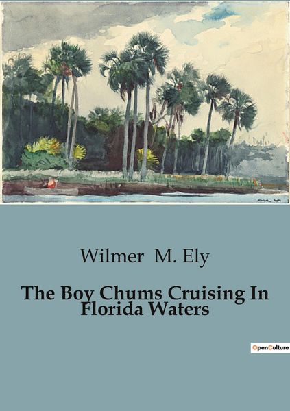 Produktbild: The Boy Chums Cruising In Florida Waters