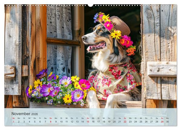 Produktbild: Fenstergucker auf der Alm. Lustige Tiere im Sommer auf dem Bergbauernhof (Wandkalender 2026 DIN A2 quer), CALVENDO Monatskalender