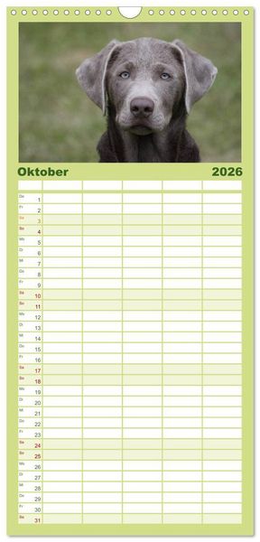 Produktbild: Familienplaner 2026 - Der Hundewelpen-Geburtstagskalender mit 5 Spalten (Wandkalender, 21 x 45 cm) CALVENDO