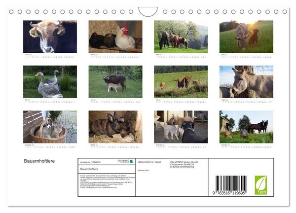 Produktbild: Bauernhoftiere (Wandkalender 2026 DIN A4 quer), CALVENDO Monatskalender