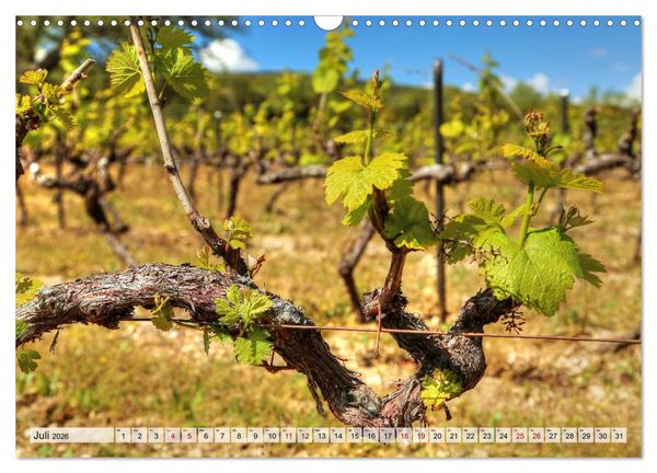 Produktbild: Provence - Magie des Lichtes (Wandkalender 2026 DIN A3 quer), CALVENDO Monatskalender