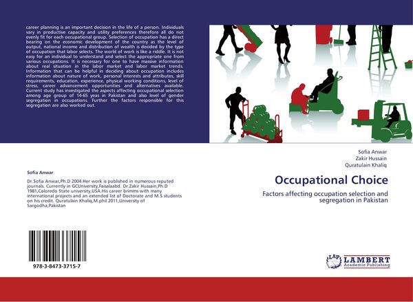 Produktbild: Occupational Choice