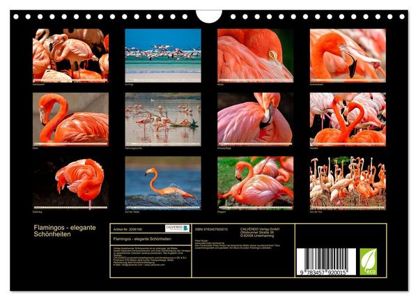 Produktbild: Flamingos - elegante Sch&ouml;nheiten (Wandkalender 2026 DIN A4 quer), CALVENDO Monatskalender