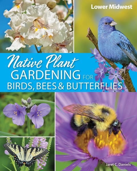 Produktbild: Native Plant Gardening for Birds, Bees & Butterflies: Lower Midwest