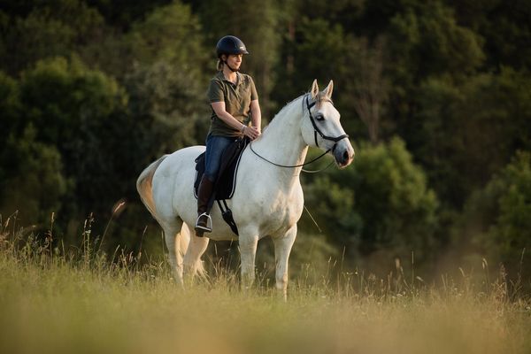 Einfach (An)Reiten