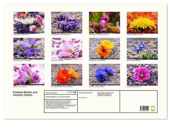Produktbild: Essbare Bl&uuml;ten aus meinem Garten (Wandkalender 2026 DIN A2 quer), CALVENDO Monatskalender