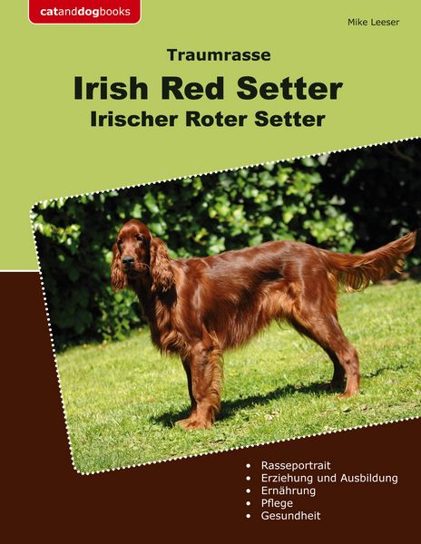 Produktbild: Traumrasse Irish Red Setter