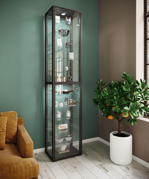 Produktbild: Holz Glas Stand Vitrine Sammelvitrine Kavisa XXL
